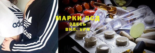 spice Алзамай
