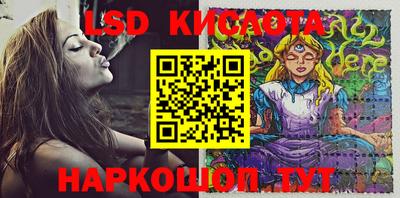 стафф Волгодонск